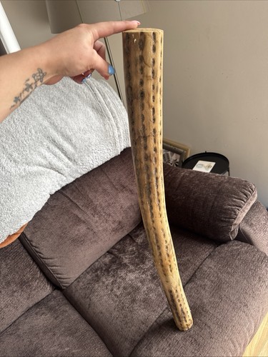 Chilean cactus rainstick 77cm