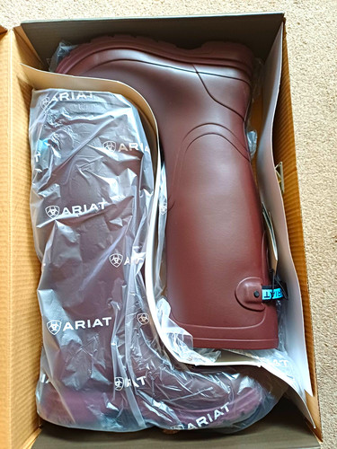 Ariat kelmarsh women - ariat, women's