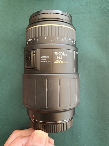 Sigma auto focus apo - sigma, macro
