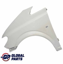 Mercedes Vito W639 Wing Panel
