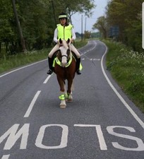 Led light up clothing, high