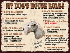 Lakeland Terrier My Dog's