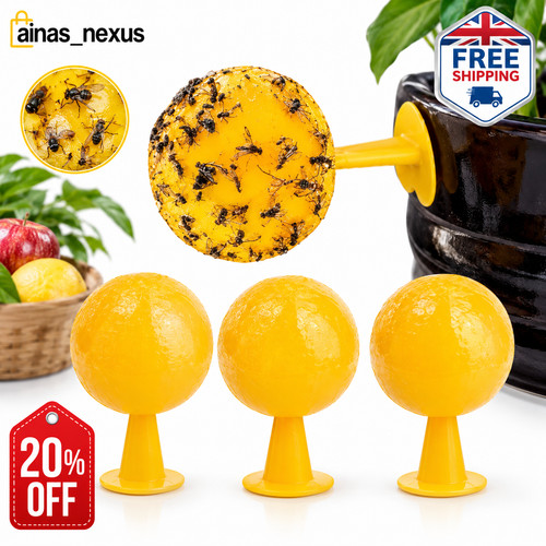 Indoor fly sticky traps - fly, fruit