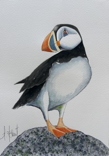 Puffin original - puffin, print)