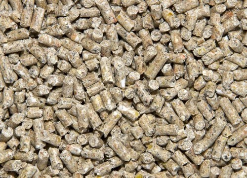 Layer pellets 20kg for - pellets,