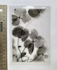 Clear rubber stamp Leaf Eucalyptus Skeleton Border Frame Background Texture