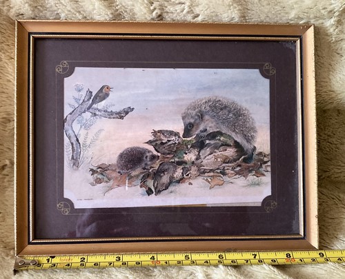 Vintage collectable framed - vintage,