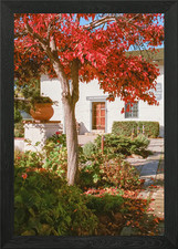 Monterey California Street