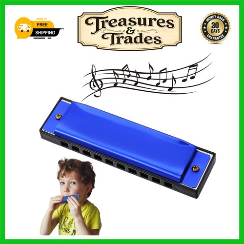 Blues harmonica hole - blues, 10-hole