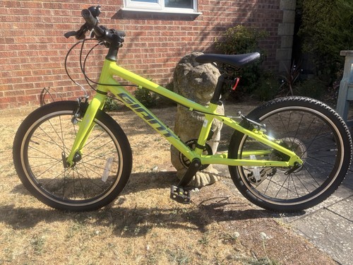 Giant arx kids bike lime - kids',