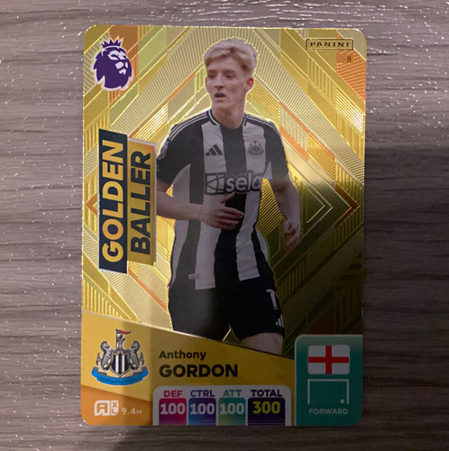 Panini adrenalyn premier - panini,