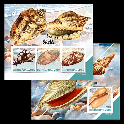 Shells mnh stamps 2024 - 2024, sierra