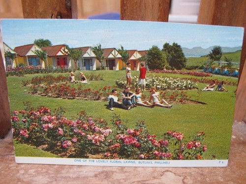 Postcards pwllheli floral - pwllheli,