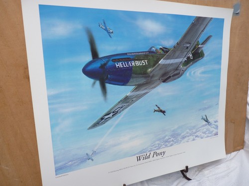Usaaf mustang edwin - usaaf, mustang.
