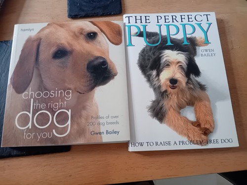 Dog puppy books - dog/puppy, perfect