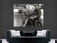 The terminator film arnold - ,