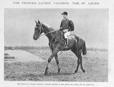 DIAMOND JUBILEE Winner of the St Leger and the Derby - Antique Print 1900