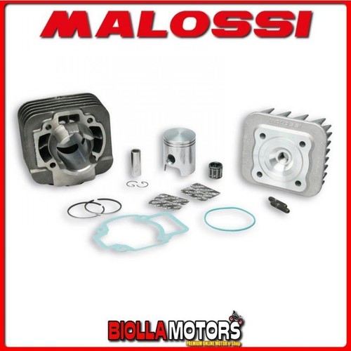 318520 cylinder malossi 50cc - 318520,
