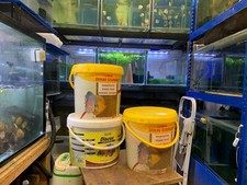 1KG DISCUS GRANULES FOOD, angel malawi cichlid tropical  live aquarium tank fish