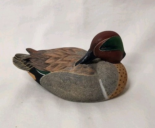 Green winged teal north - winged,