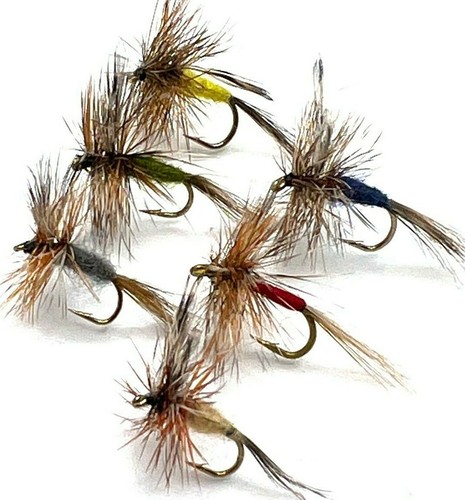 12 trout grayling - 12, fly
