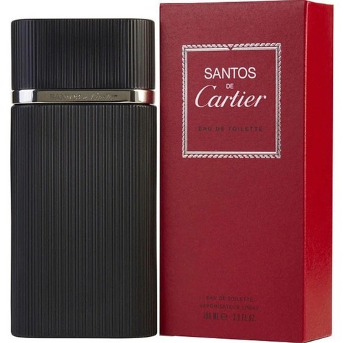Cartier santos - cartier,