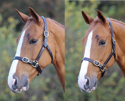 Shires blenheim fully - shires,