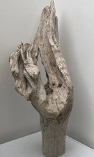 Large stunning  Driftwood Piece 102cm Height. 37cm at widest 10kg