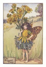 1925 Original First Edition The Ragwort Fairy Flower Fairies book print