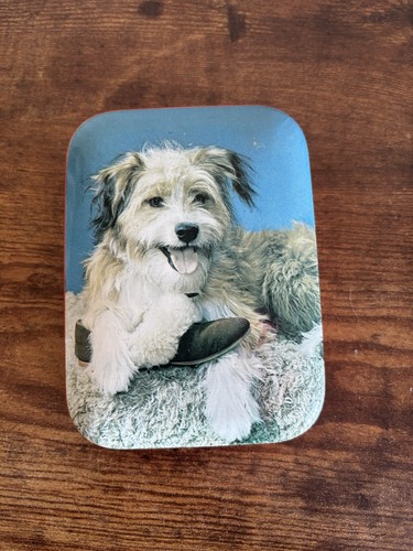 Vintage tin rileys toffee dog - vintage,
