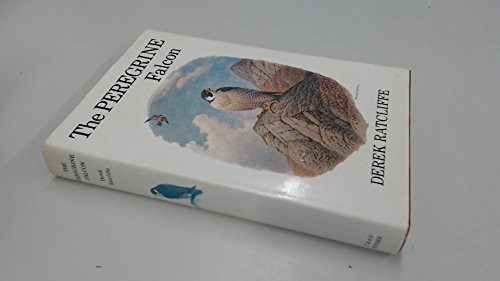 Peregrine falcon ratcliffe - peregrine, falcon,