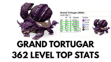 Grand Tortugar TOP STATS Clone