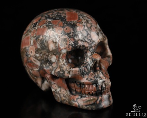Crinoid fossil hand - 2.0",