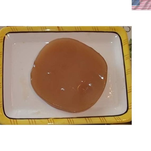 Kombucha culture large scoby - kombucha,