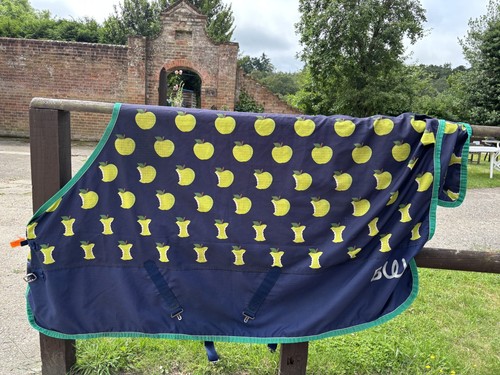 Bridleway fill turnout - bridleway,