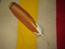 Native American hand painted replica of a Mature Red Tail Hawk Feather