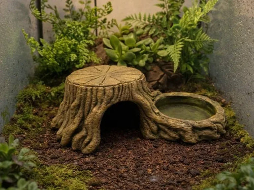 Reptile stump hide - reptile, water