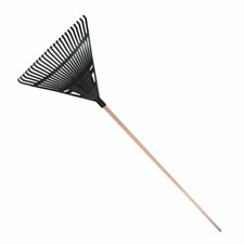 Garden lawn leaf - leaf, tooth