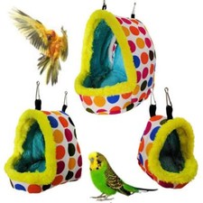 Pet Bird Parrot Budgie