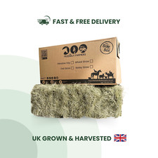 Guinea Pig Timothy Hay Rabbit