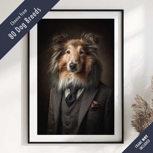 Smartly dressed dog - smartly,