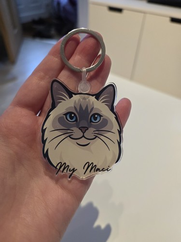 Ragdoll cat lover - cat,