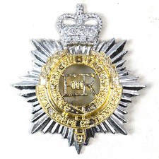 Royal Corps of Transport (RCT) Anodised/Staybrite Badge
