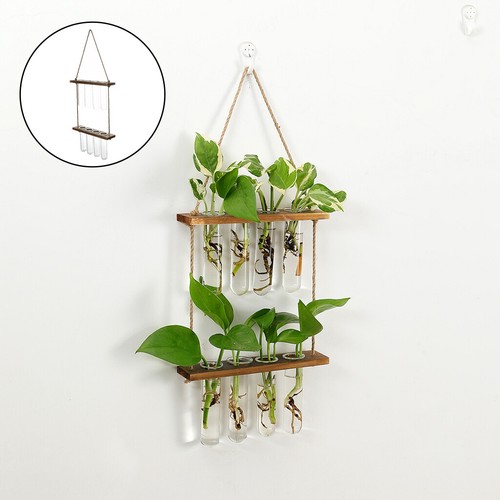 Wall hanging terrarium test - wall,