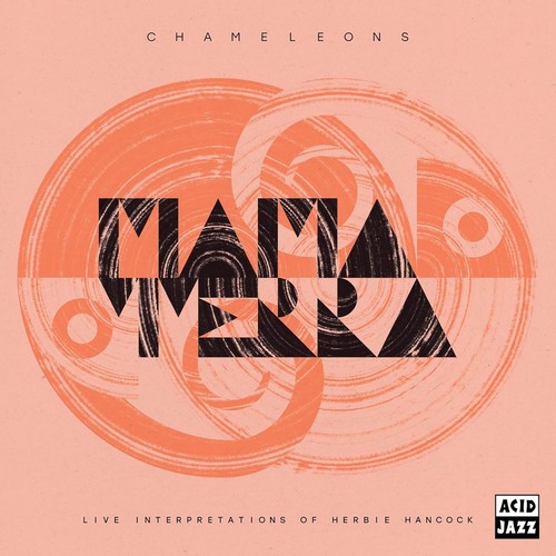 Mama terra chameleons - terra,