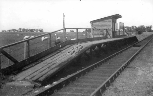 1950 harty road halt - 1950,