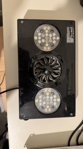Radion xr30 gen - radion, 3