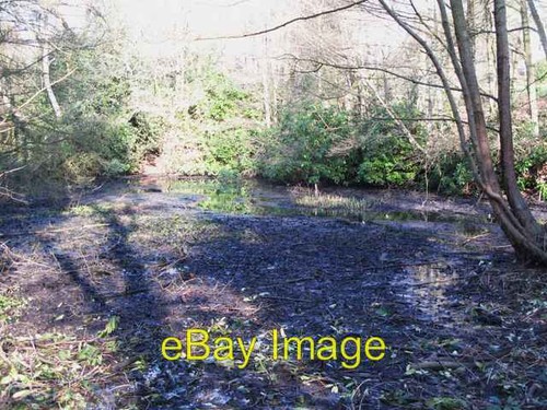 Photo 6x4 small pond west - photo, of