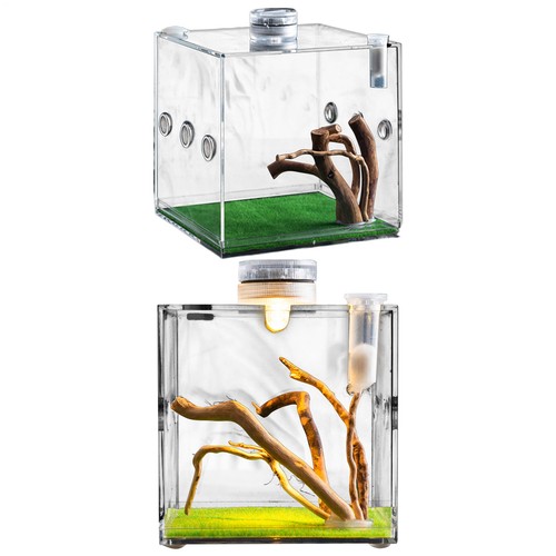 Reptile cage enclosure box - cage,