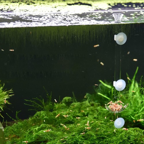 Pack aquarium crystal - of,